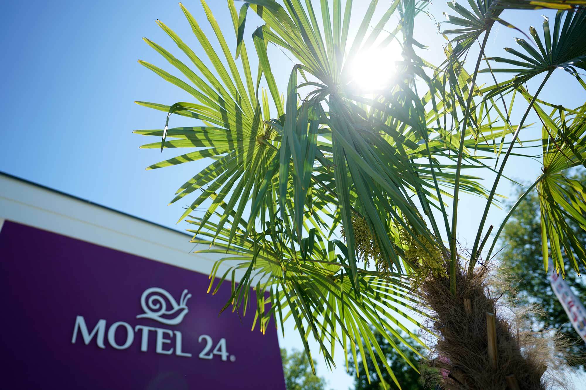 Motel24 Rietberg Palmen mit Logo CarlMakesMedia Motel24 Rietberg Palmen mit Logo