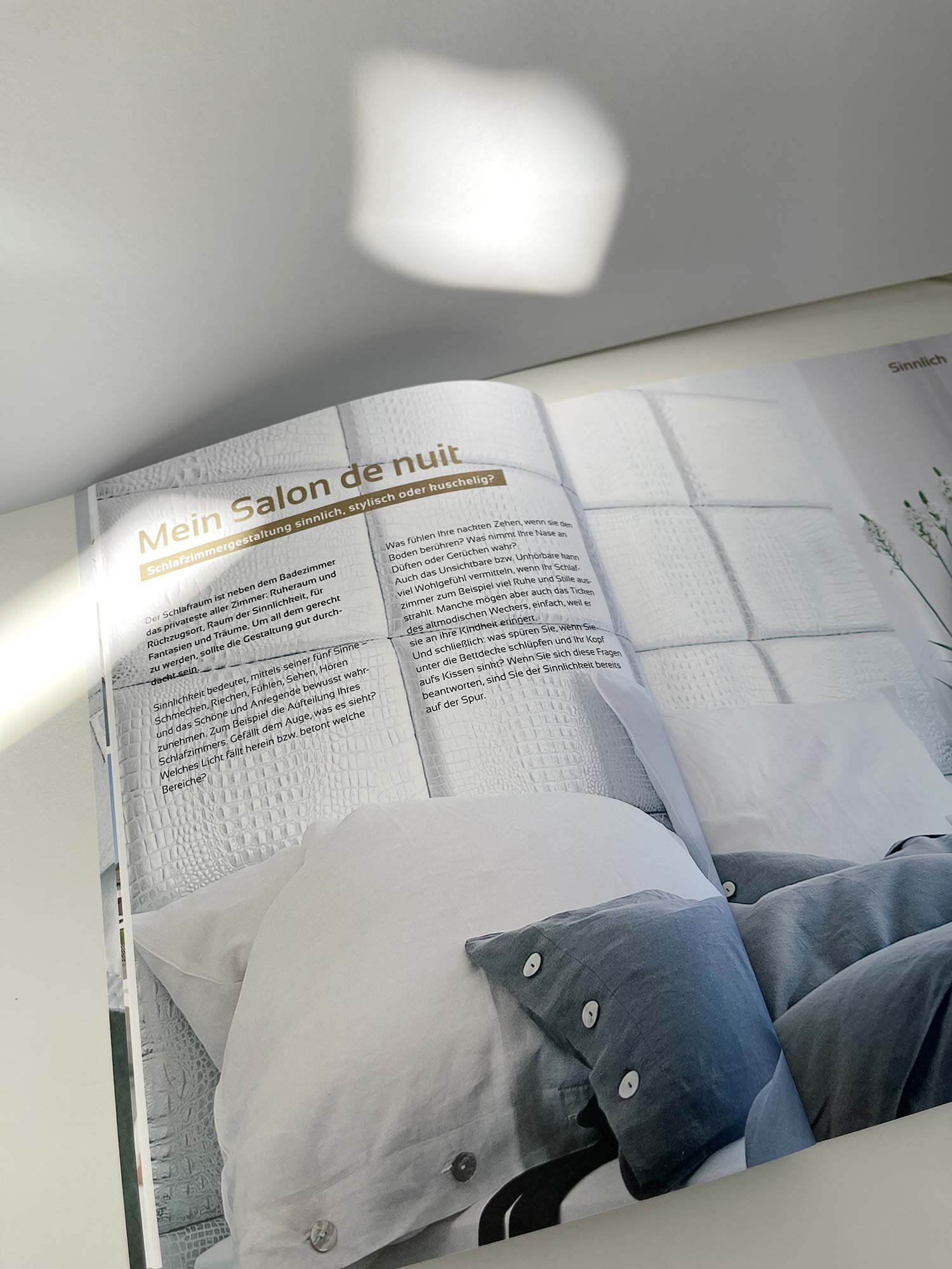 falkenreck_magazin_1