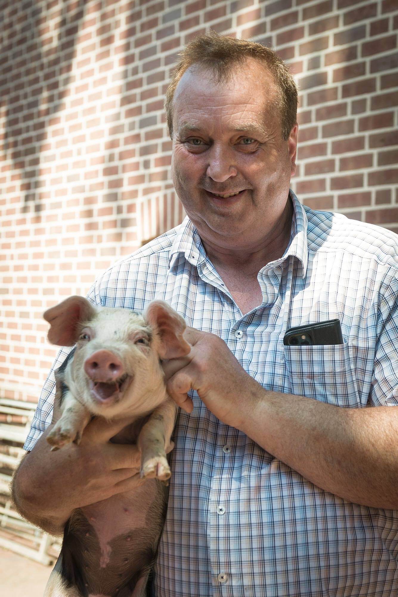 bremehr_18 Bremehrs Hof Schwein