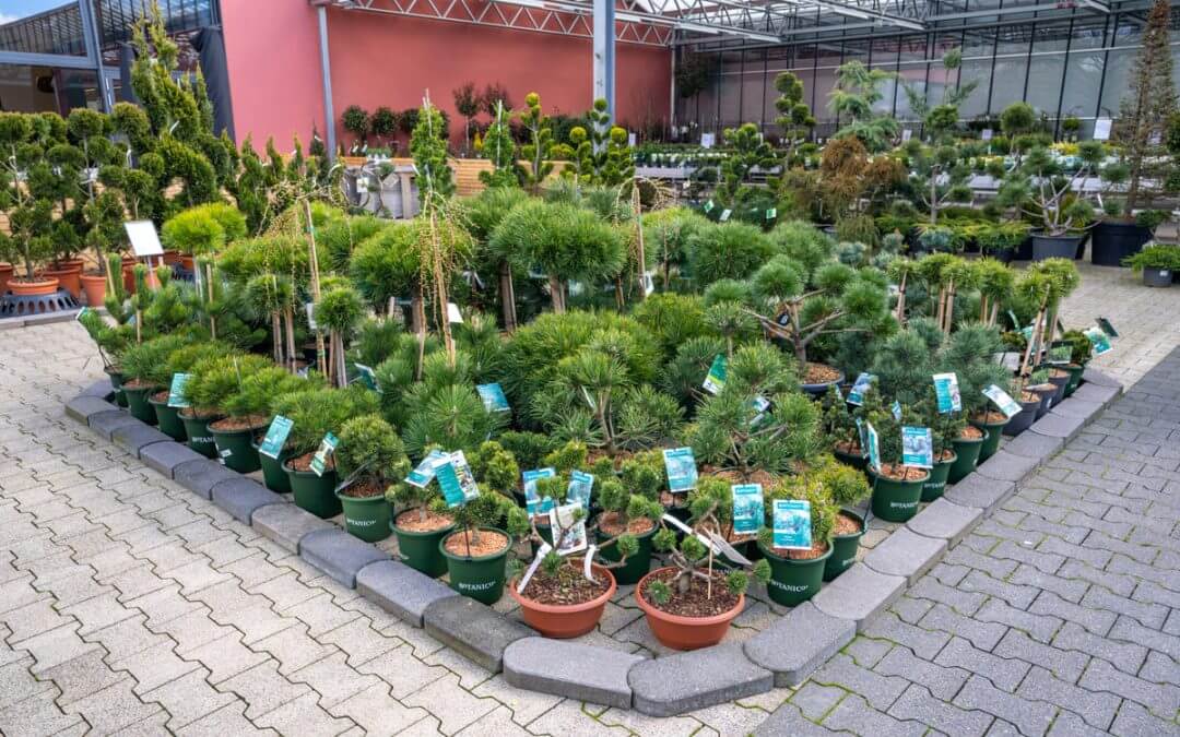 Der Sommer kommt bei Brockmeyer