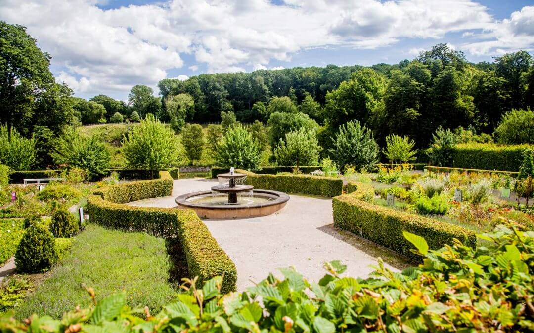 Danielas Blog – Dalheimer Gärten