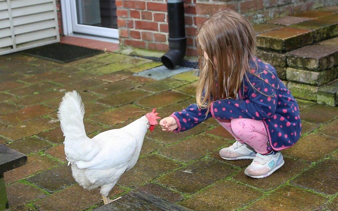 „So viel Platz auch für die kleinen Tiere!“