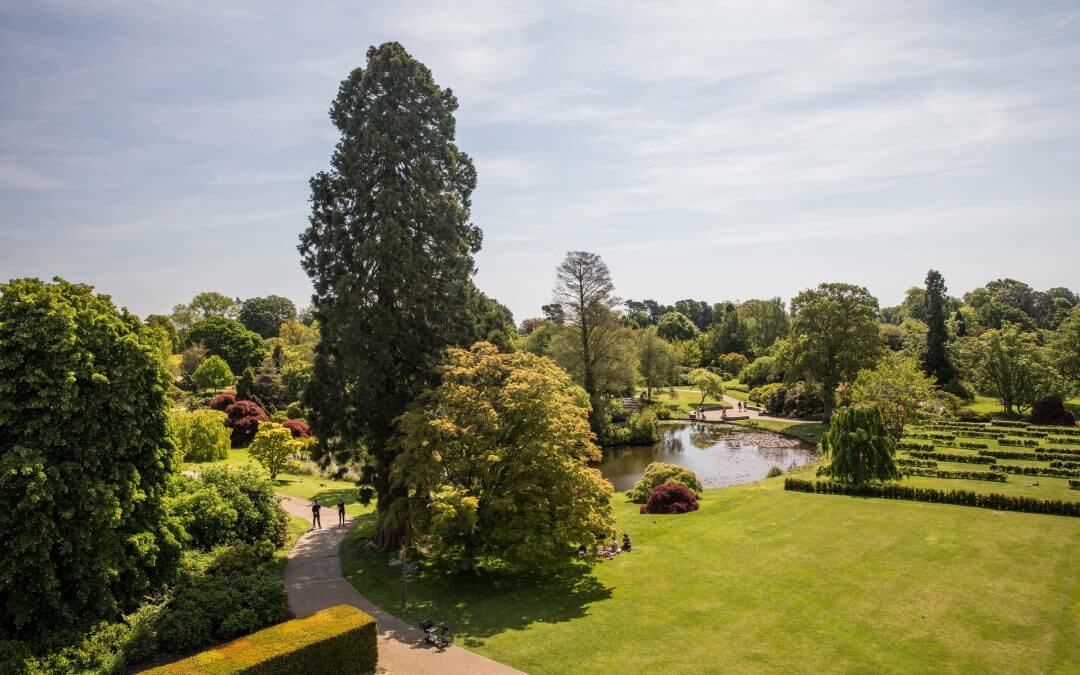 Danielas Blog – Die Millennium Seed Bank