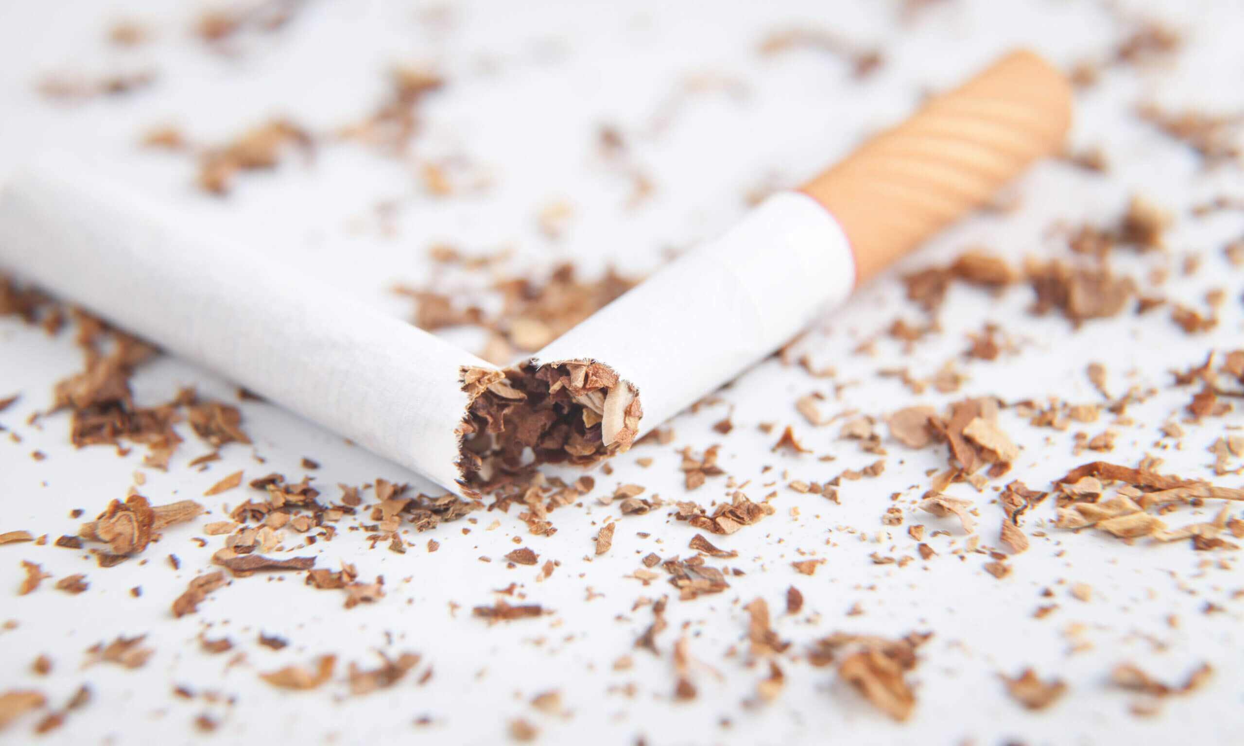 Macro. Broken cigarette. Stop Smoking