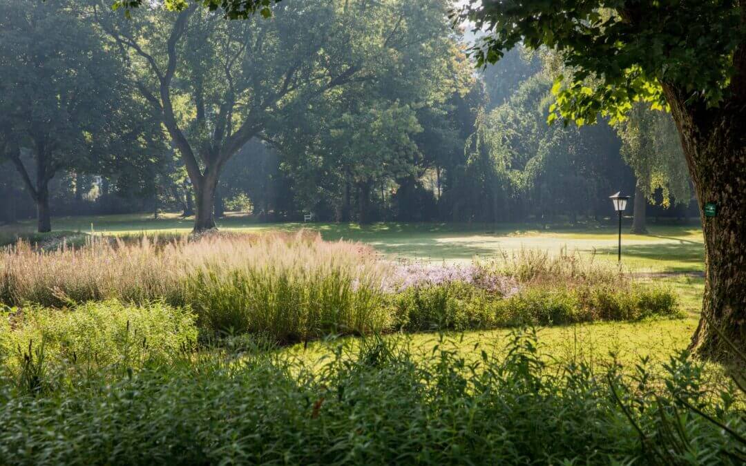 Danielas Blog – Gräflicher Park Bad Driburg