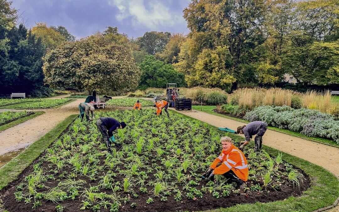 Rosa-Pink wird die Farbe des Sommers im Botanischen Garten