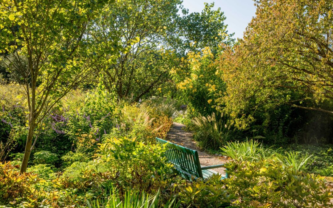 Danielas Blog – Staudensichtungen im Hermannshof