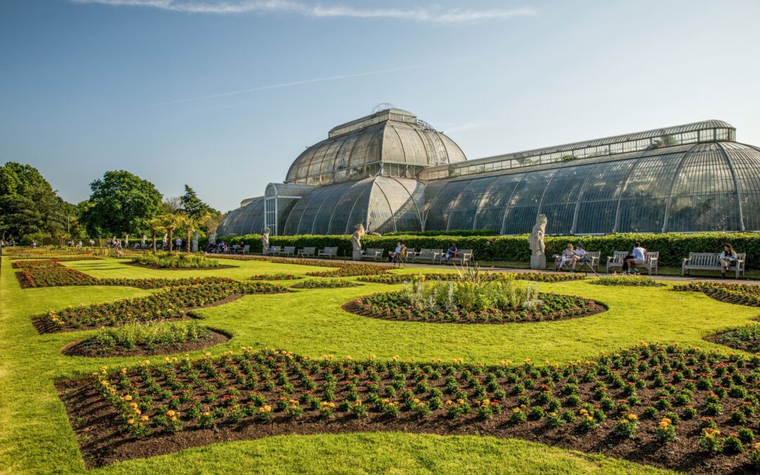 Danielas Blog #18 – The Royal Botanic Gardens Kew
