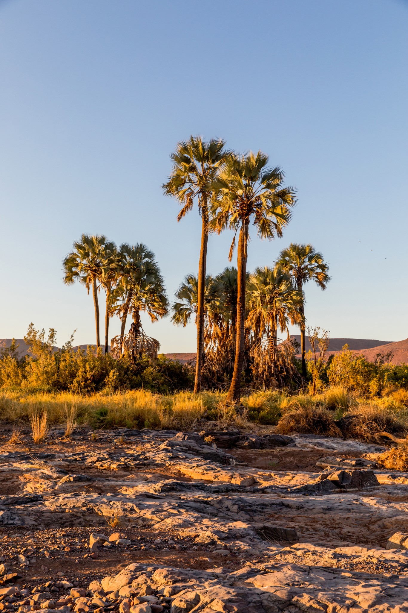 Daniela Toman Blog Afrika (7)