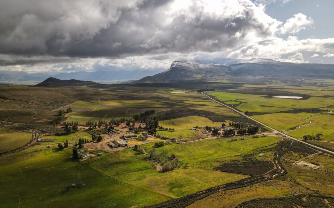 Erik Horsthemke Blogbeitrag #2