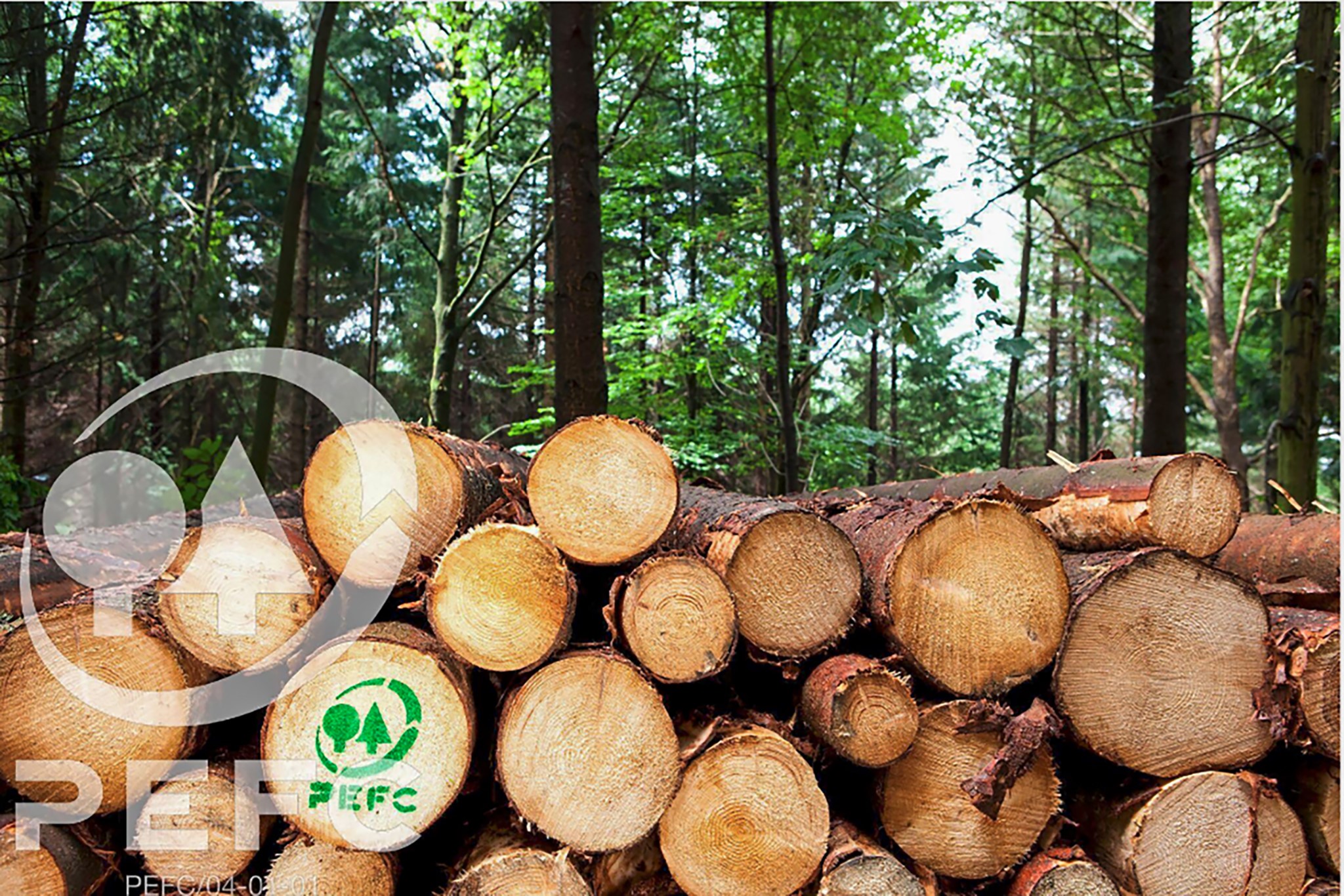 Nachhaltig Blog PEFC_Zertifizierung (4)