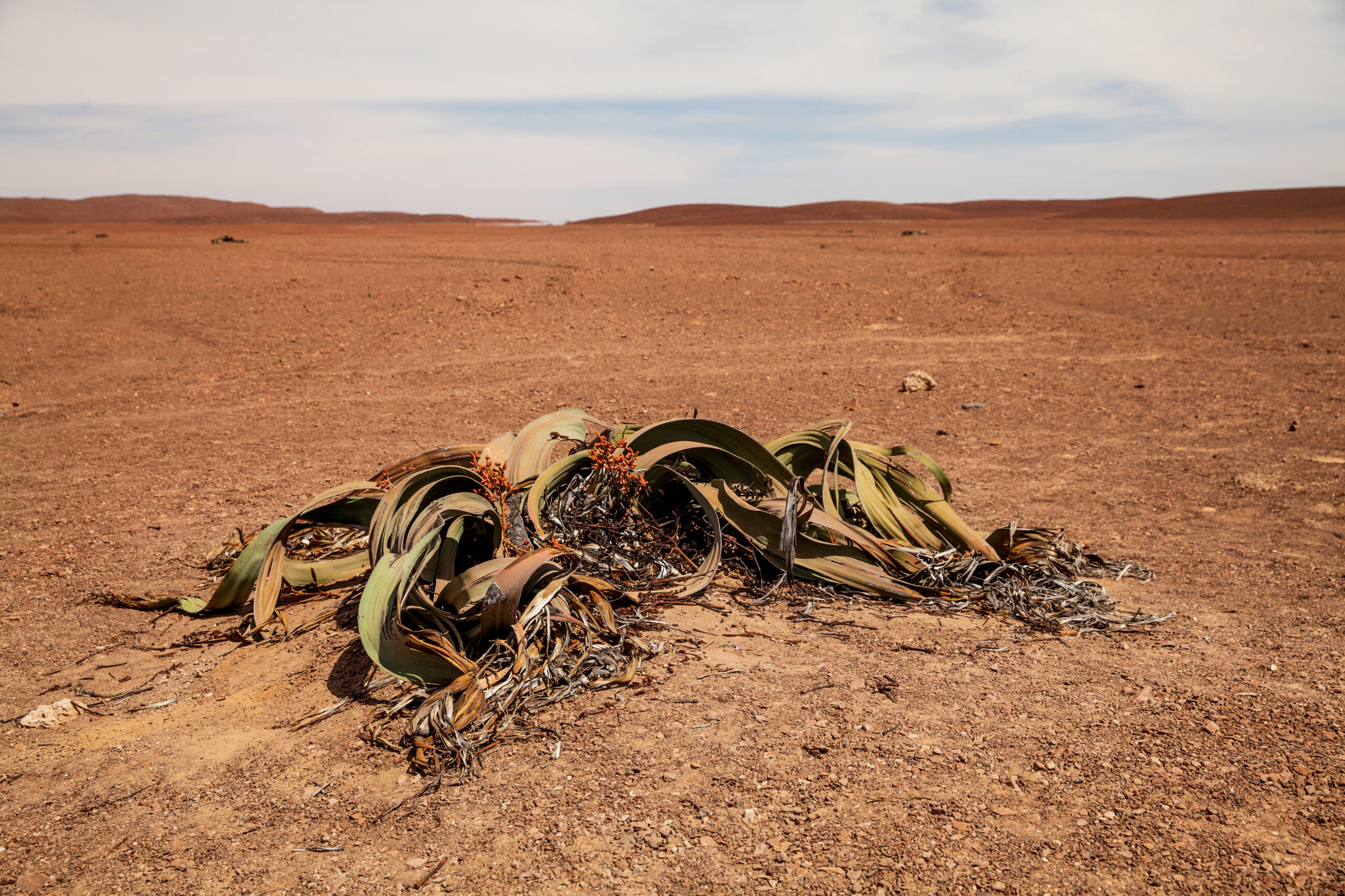 Daniela Toman Blog Afrika (7)