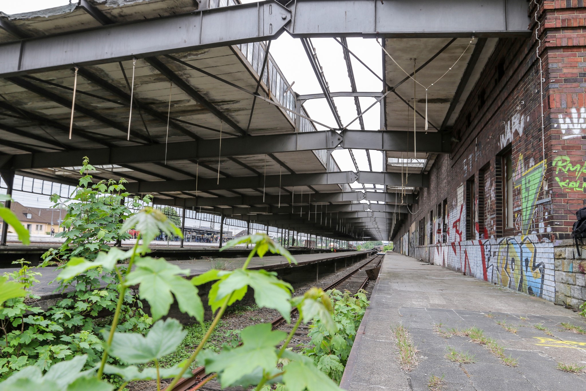 Schüttflix Gütersloh Güterbahnhof Gleis13 (8)